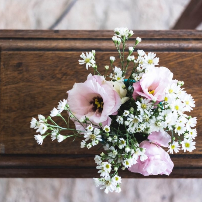 pink and white flowers